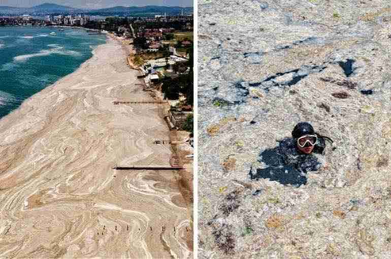 Turkey’s Coast Has Been Covered In A Thick Slimy Layer Of  “Sea Snot” And It Looks Absolutely Disgusting