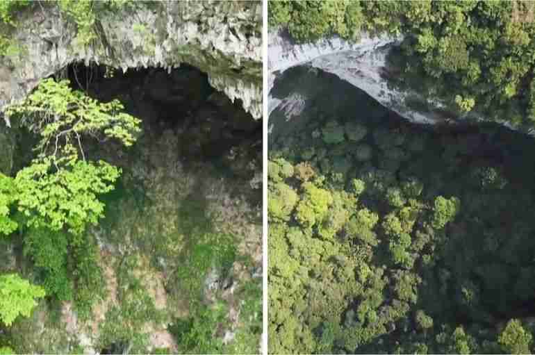 Scientist Have Discovered A Forest Inside A Giant Sinkhole In China And It Looks Incredible