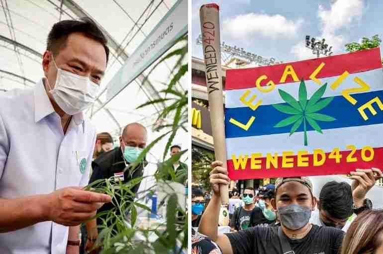 thailand one million cannabis giveaway