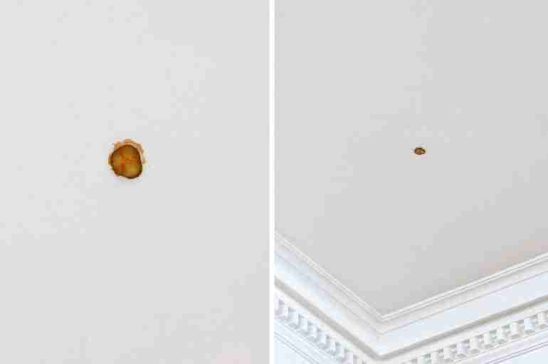 This Australian Artist Threw A McDonald’s Pickle On An Art Gallery Ceiling And It’s On Sale For $6,000