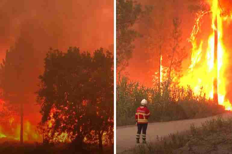 Wildfires Are Tearing Through Portugal As An Intense Heatwave Scorches Europe