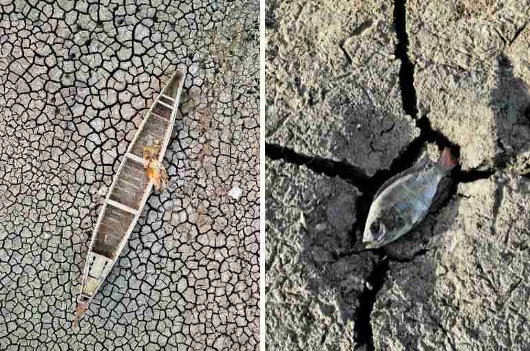 iraq drought garden of eden dry