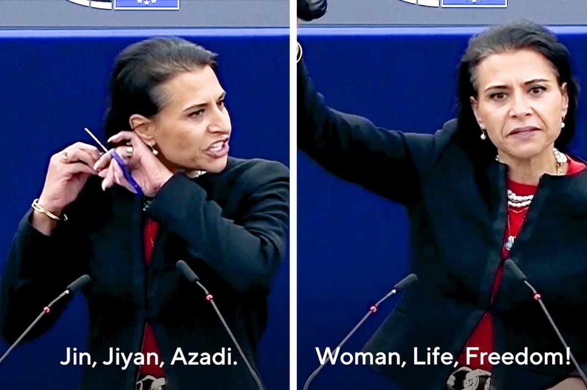 swedish mp cut hair iran speech