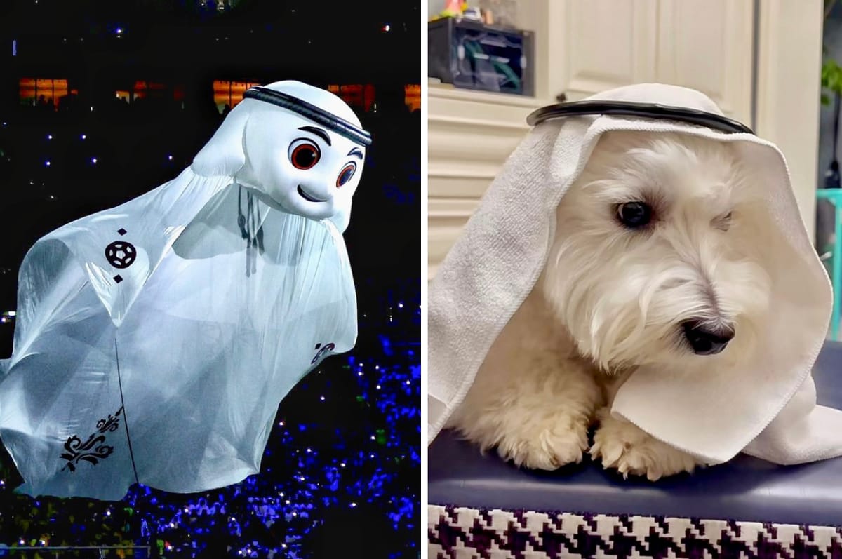 People In China Are Dressing Their Pets Up As La’eeb, The World Cup Mascot, And It’s The Cutest