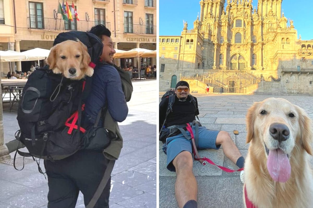 taiwan dog camino de santiago pilgrimage money