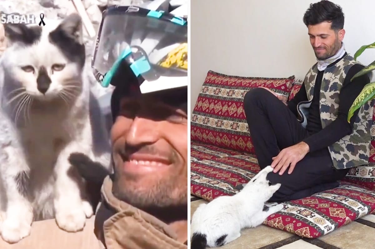 This Turkish Firefighter Saved A Cat Trapped Under Earthquake Rubble And Now They’re Inseparable