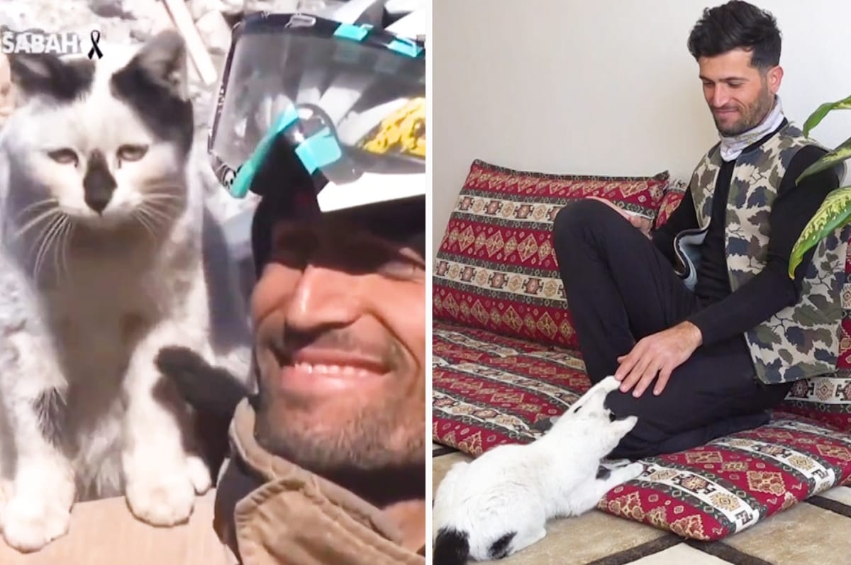 turkey firefighter cat rescue enkaz ali cakas