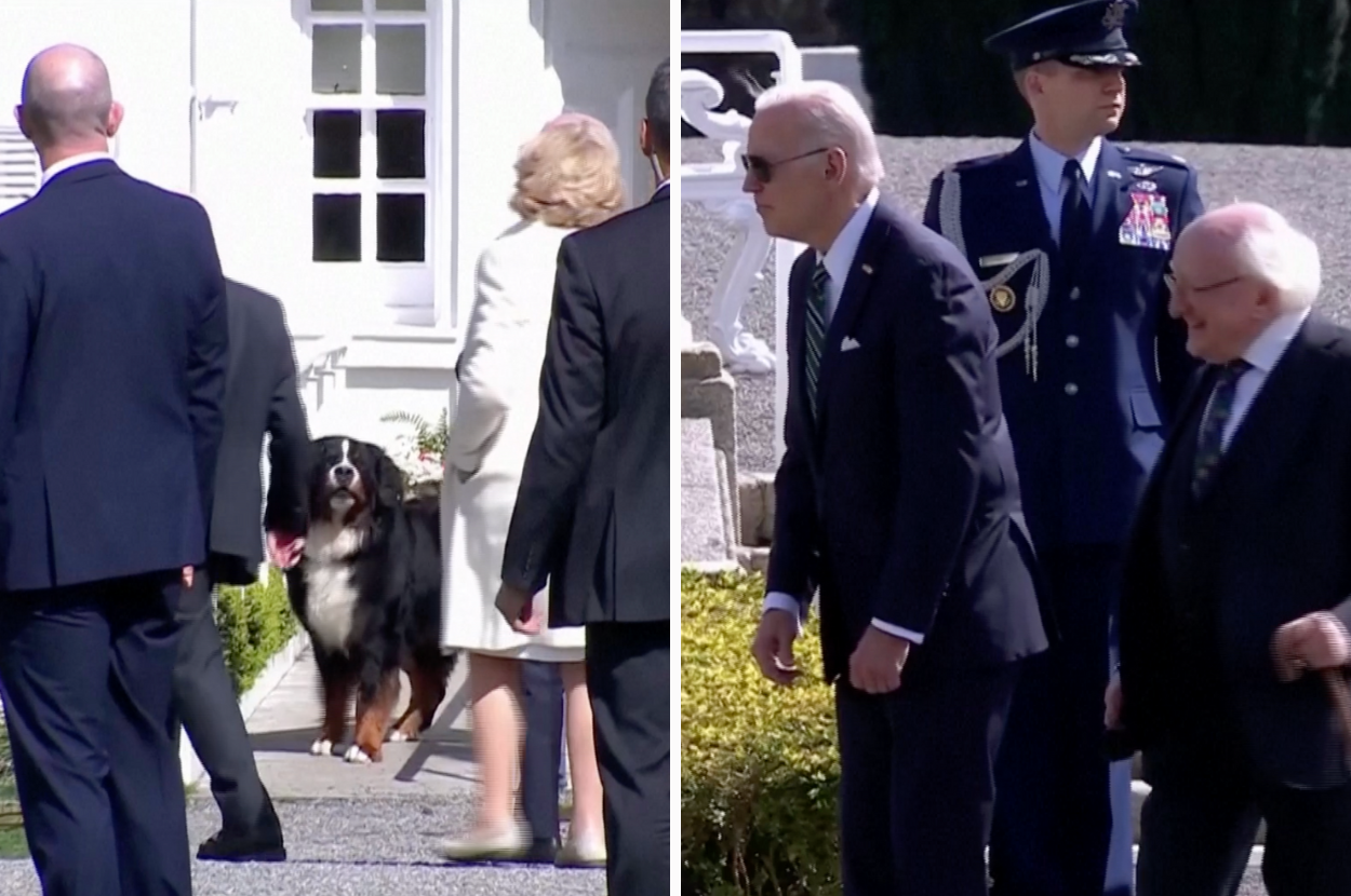 Joe Biden Was Snubbed By The Irish President’s Dog And Honestly His Reaction Was Quite Relatable