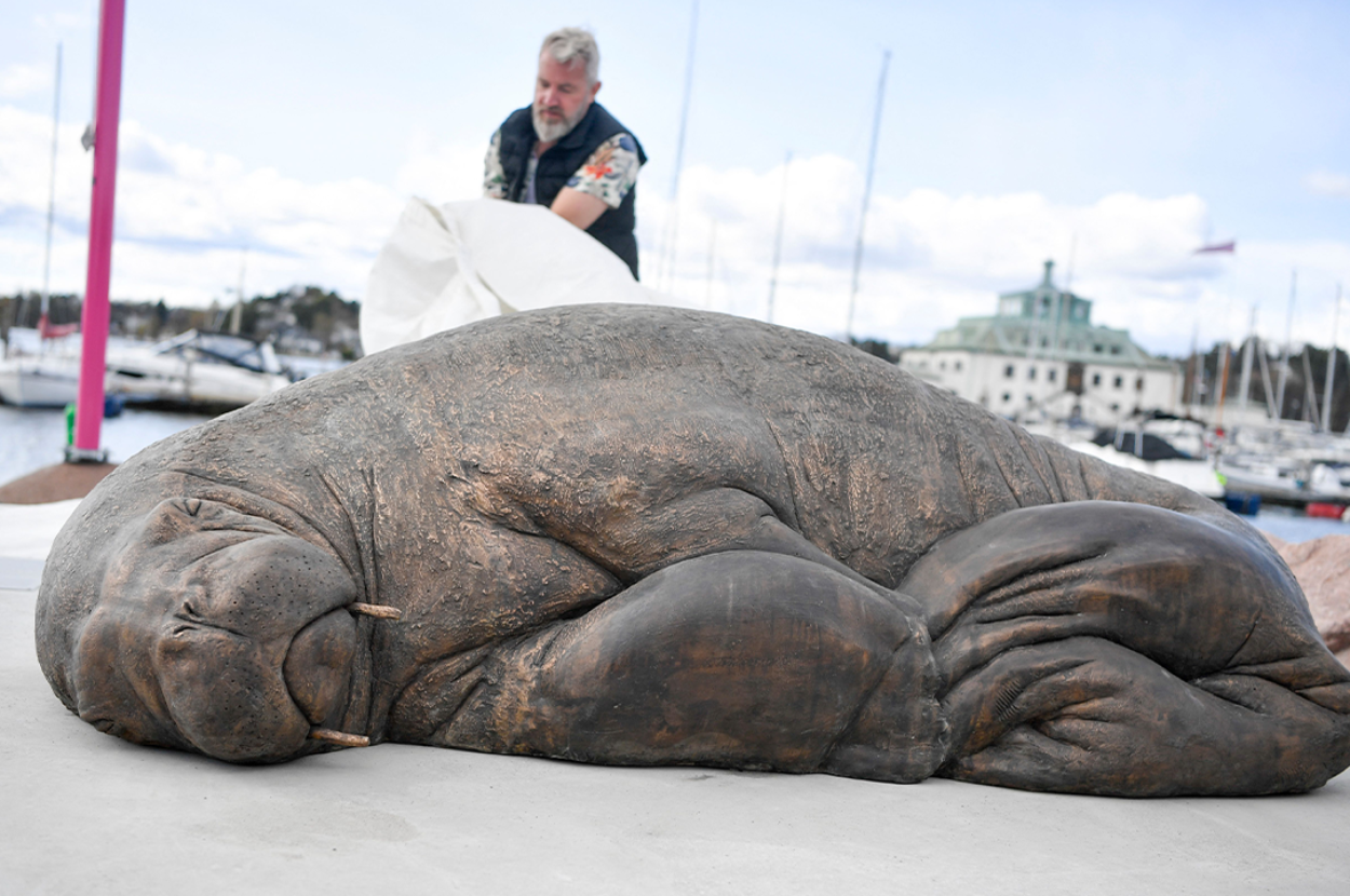 This Norwegian Artist Has Created A Statue Of Freya The Walrus After She Was Killed