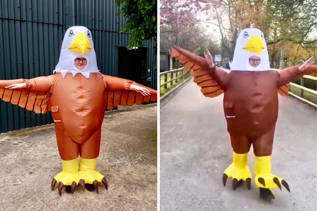 uk zoo human seagull deterrent blackpool