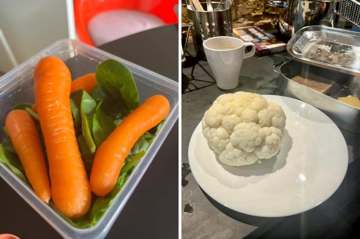 People In China Are Sharing Photos Of “White People Meals” And Honestly They Kind Of Have A Point