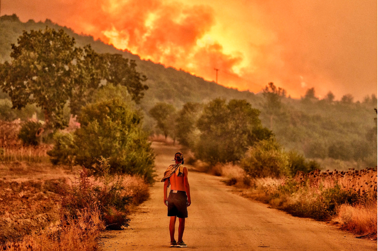 Wildfires In Greece Are So Extreme That They Have Burned An Area Larger Than New York City