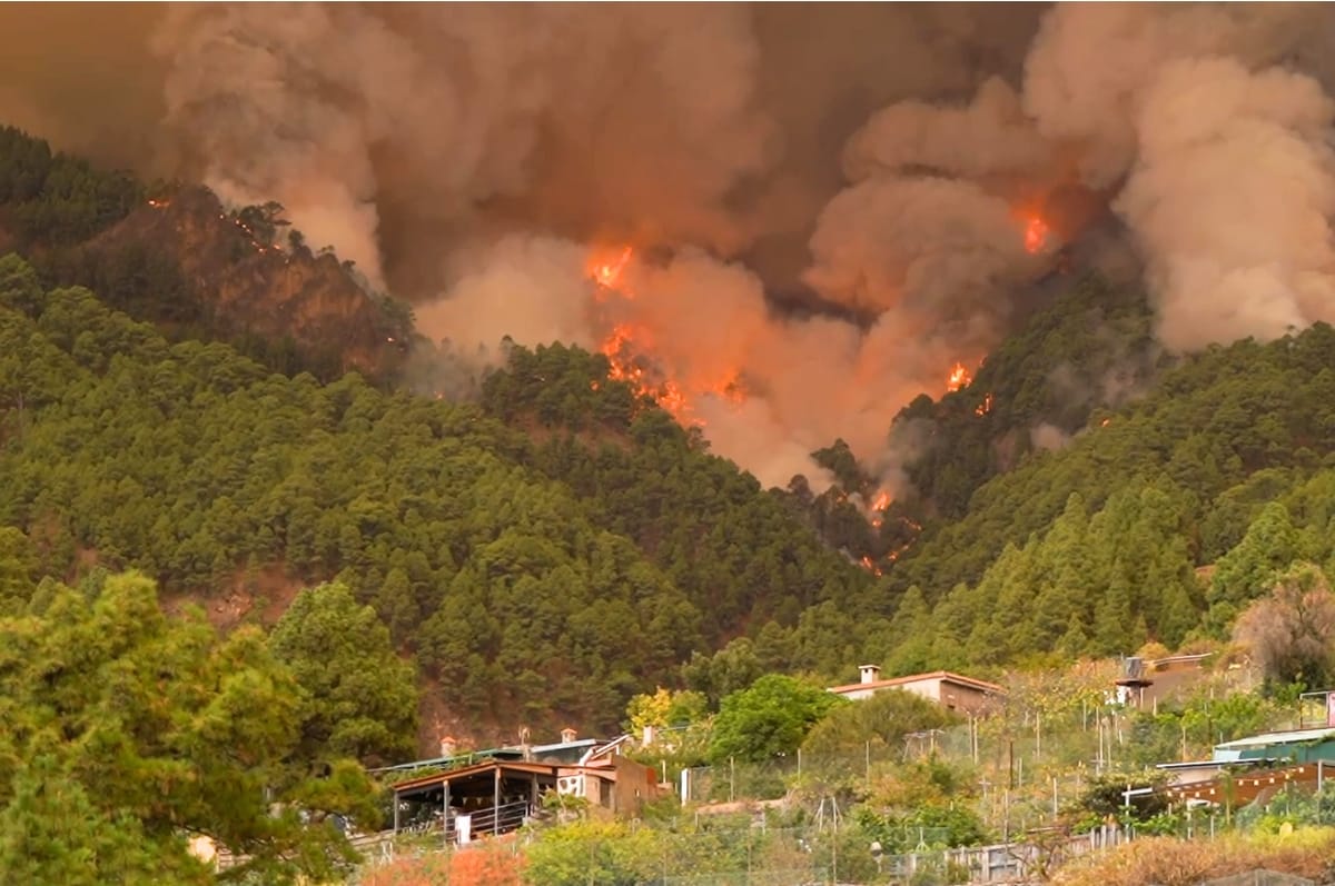 Massive Wildfires Are Raging “Out Of Control” On Spain’s Tenerife, Forcing Thousands Of People To Flee