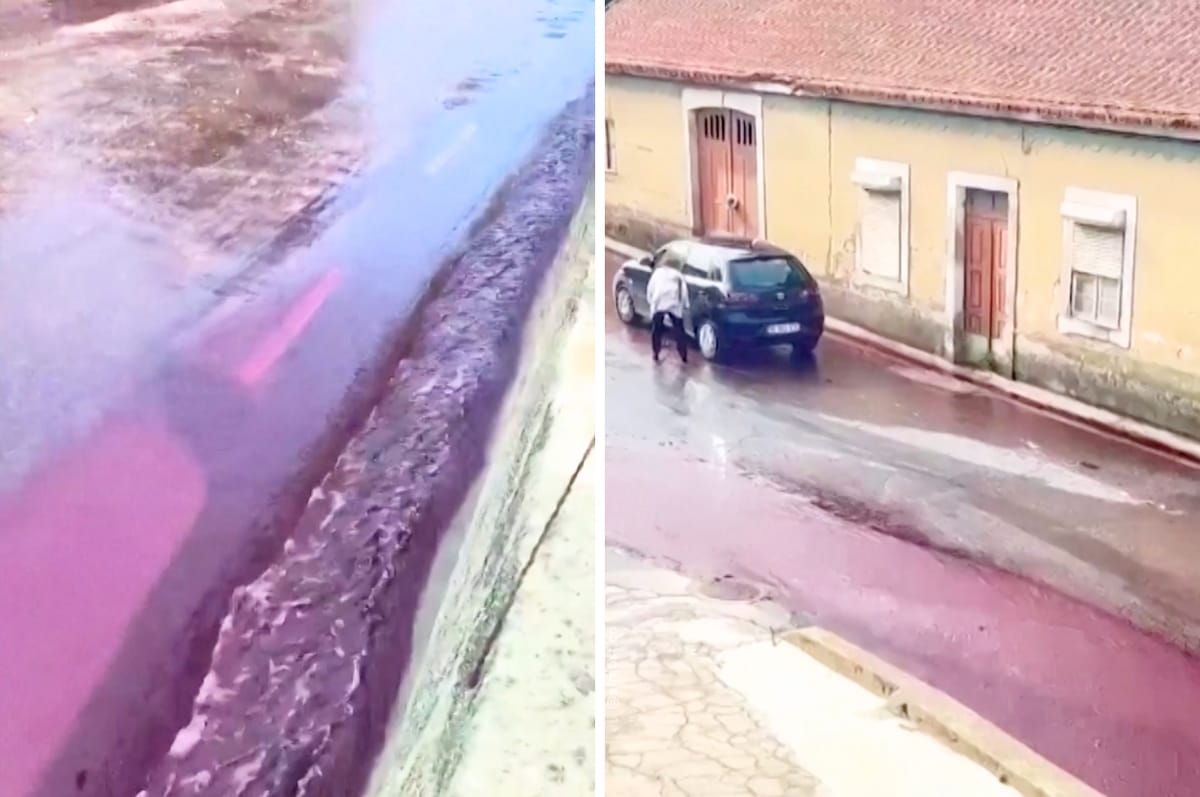 This Village In Portugal Has Been Flooded By A River Of Wine After A Distillery’s Tanks Burst