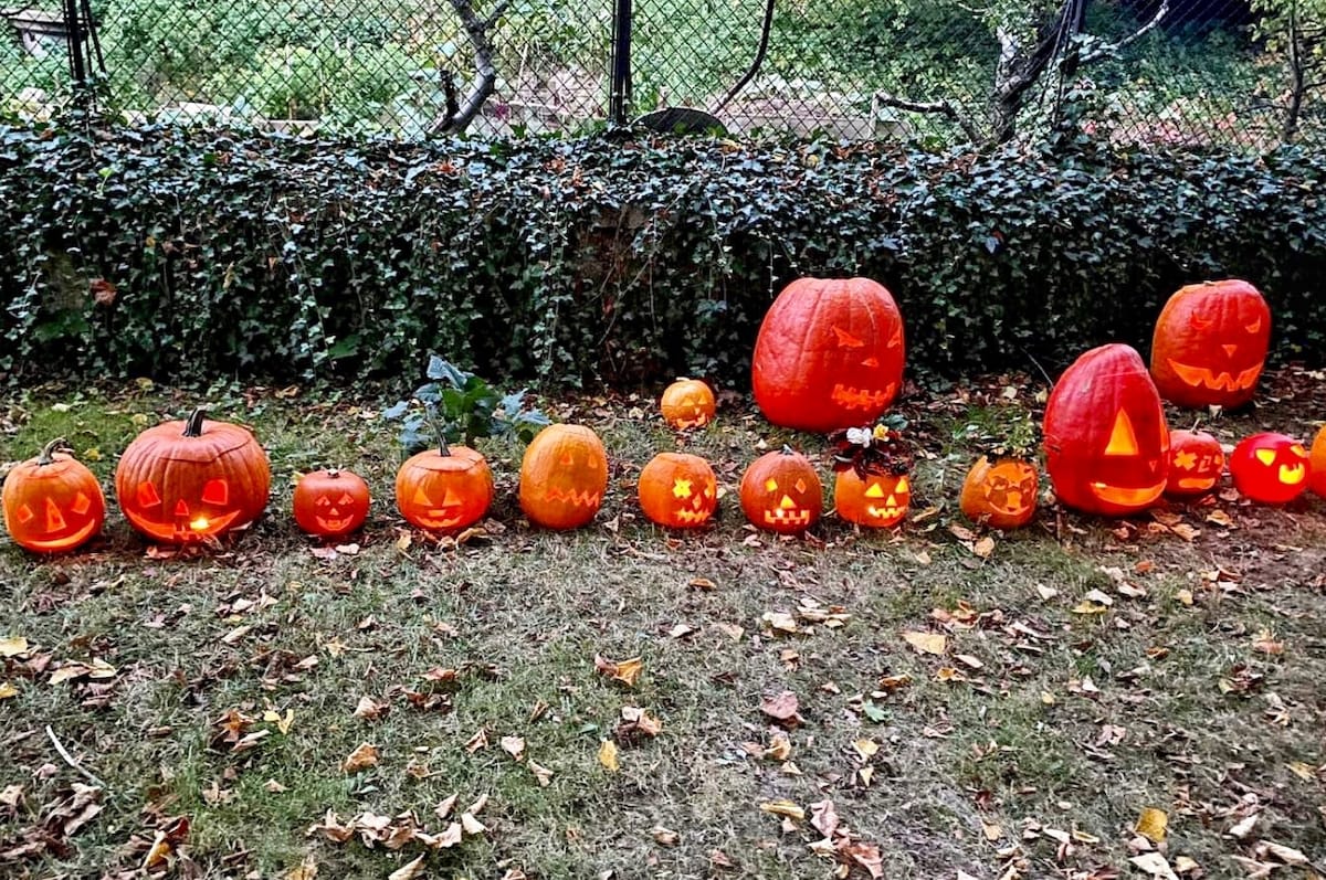 This Czech Priest Has Apologized For Smashing “Satanic” Halloween Pumpkins Carved By Children Two Days In A Row