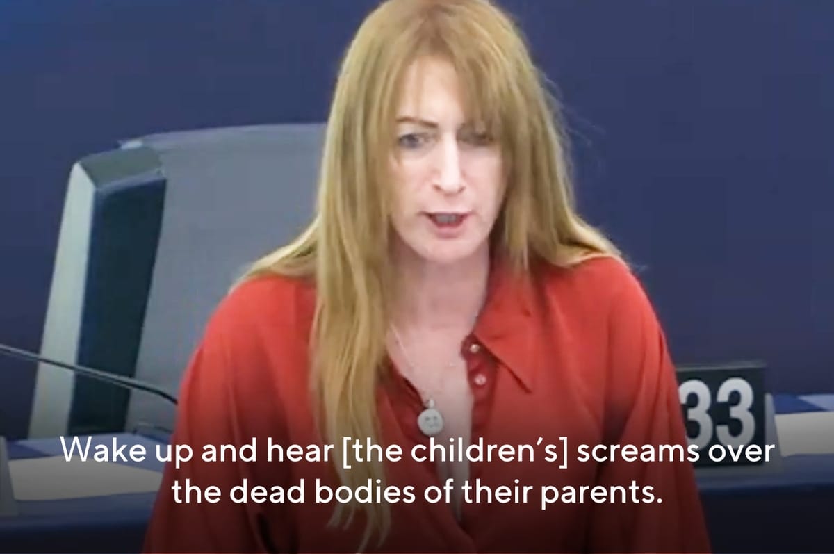This Irish Woman Politician Slammed World Leaders For Doing Nothing To Protect The Children In Gaza