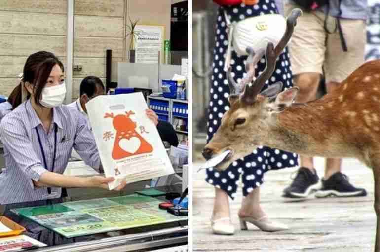 japan nara paper bag deers