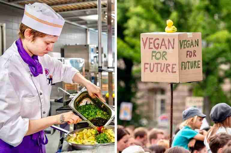 berlin universities vegan climate change