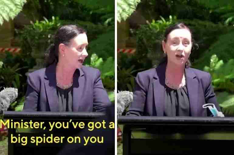 australia spider covid19 press conference
