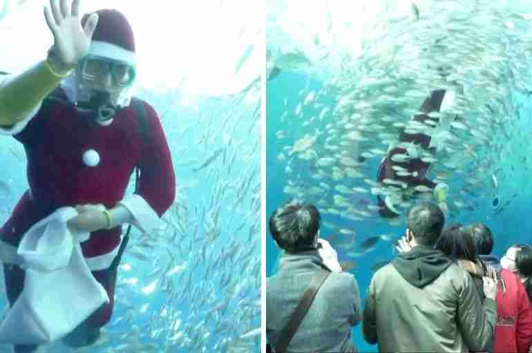 japan aquarium santa diver christmas