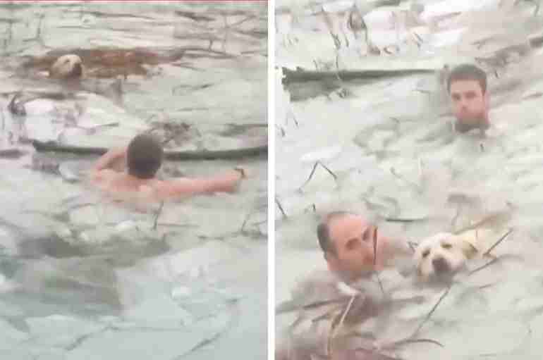 spanish police rescue dog frozen reservoir