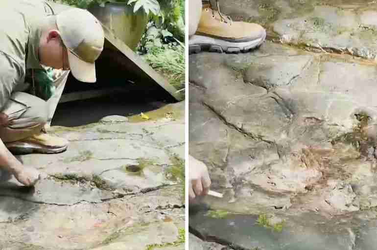 china restaurant dinosaur footprints discovery leshan