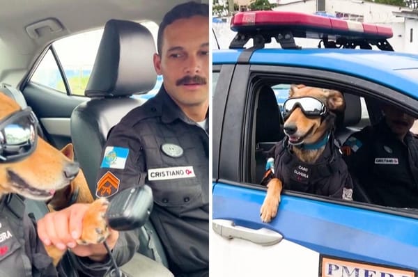 cabo Oliveira rio police dog mascot brazil