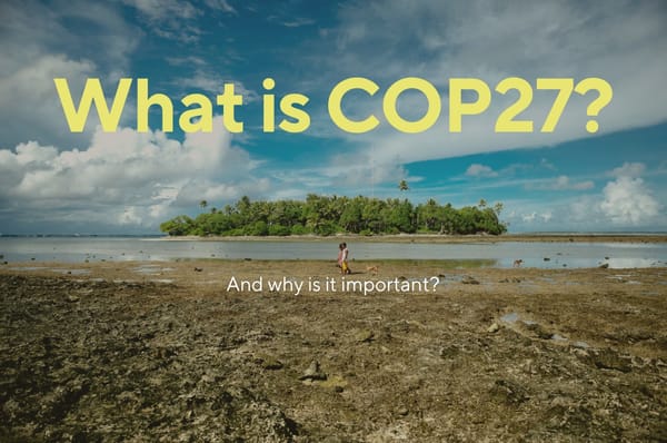 what is cop27 egypt climate change