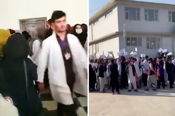 afghan male students walk out taliban women university