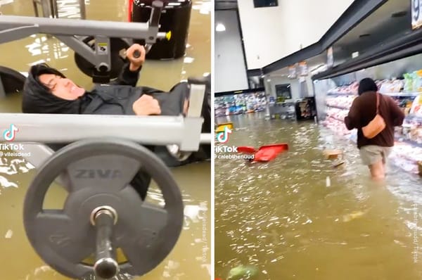 auckland flood supermarket gym bus video new zealand
