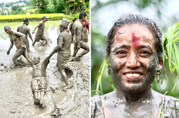 nepal paddy rice festival farmer mud