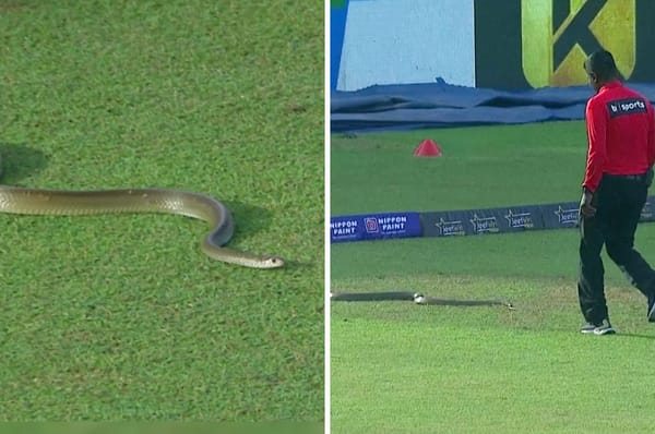 snake cricket match sri lanka
