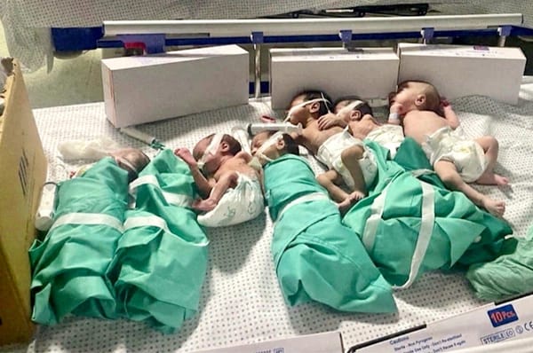 gaza al shifa hospital no electricity babies died