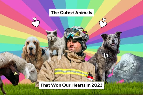 cute animals 2023