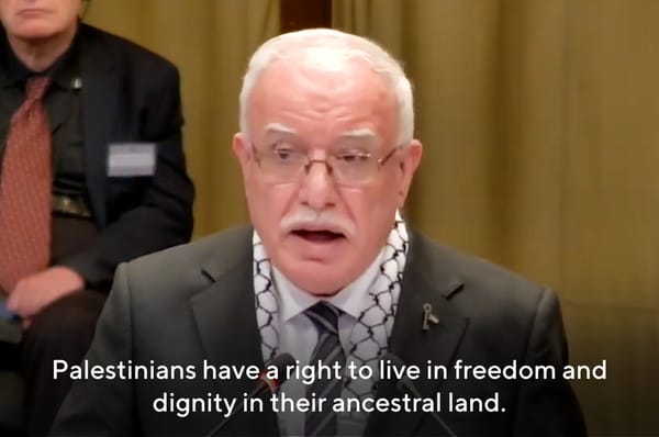 icj israel occupation hearing palestine foreign minister speech